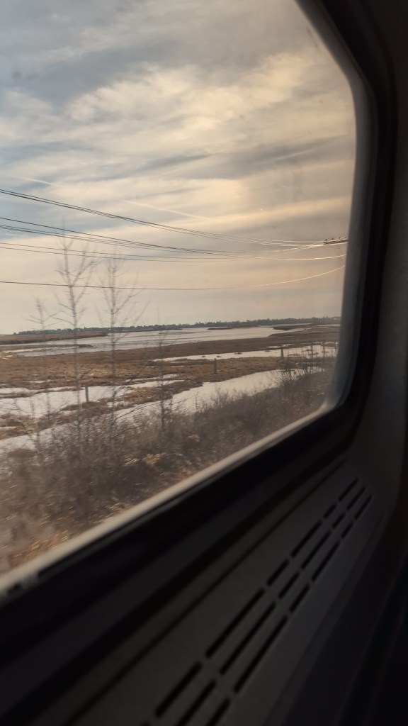the view outside of a train window, looks out on a cloudy sky over marshland
